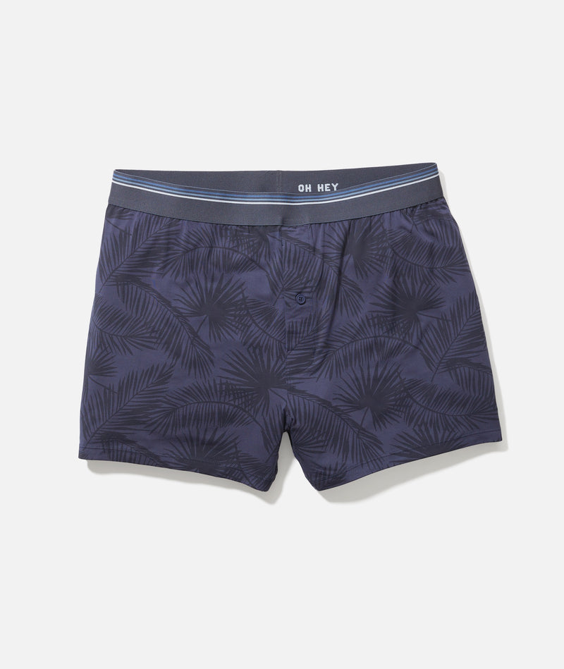 Best Boxers Ever